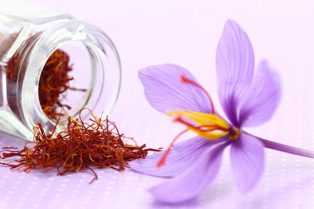 Foto cerca de flor de azafrán y especias de azafrán secas