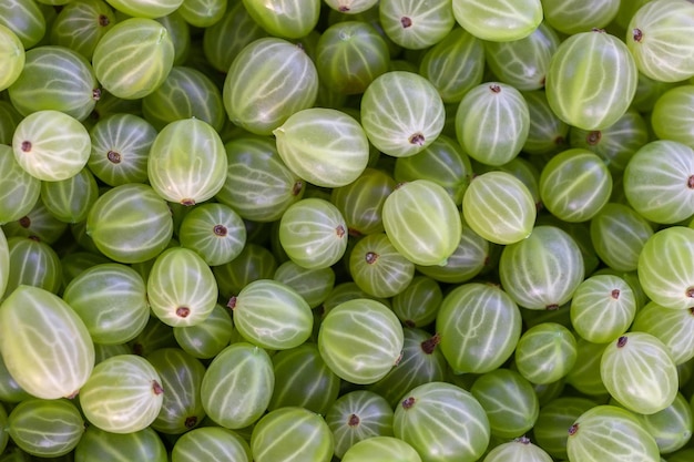 Cerca de fondo de grosellas maduras verdes