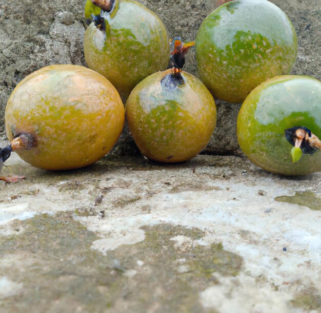 Cerca de fruta de la pasión fresca y madura en piedra