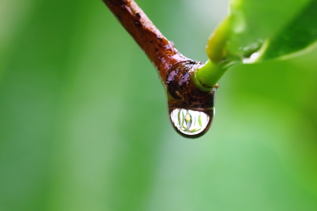 Cerca de una gota de agua que cae