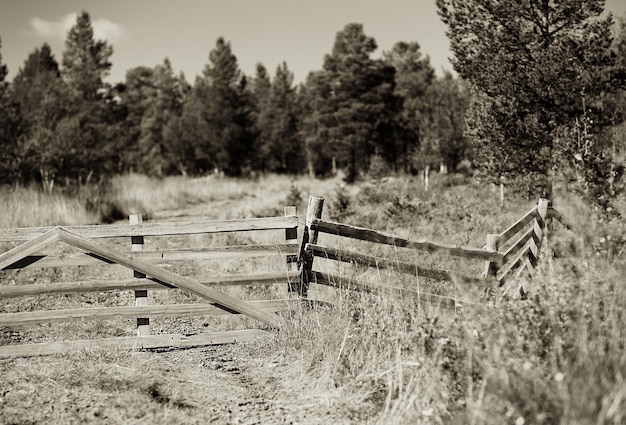 Cerca de la granja paisaje sepia fondo hd