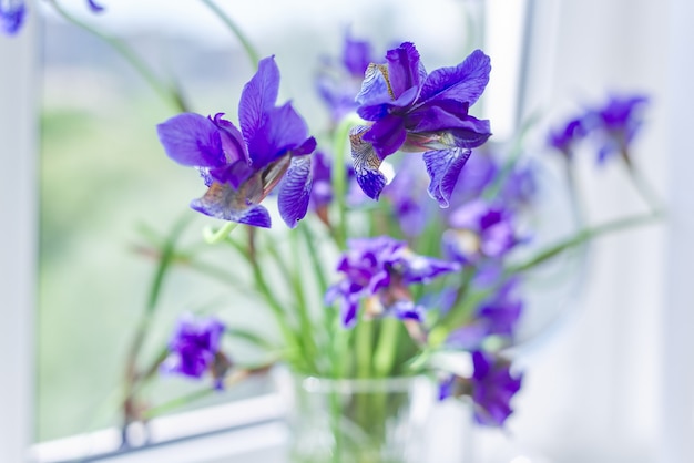 Cerca de hermosos lirios azul violeta en un jarrón en la ventana.