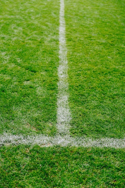 Cerca de la hierba y las marcas en el campo de fútbol o fútbol