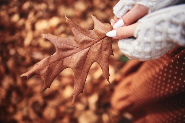 Cerca de la hoja de otoño en manos en el bosque