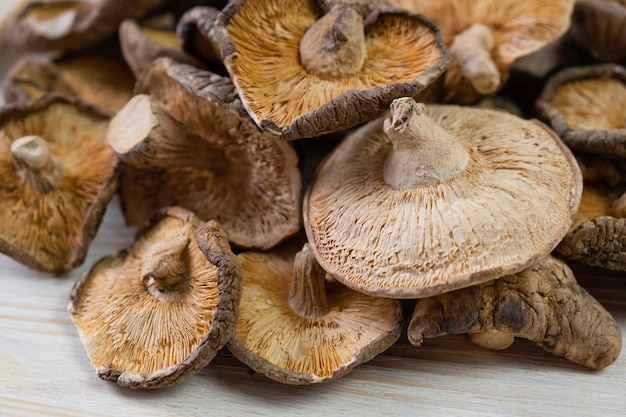 Cerca de hongos shiitake secos en madera