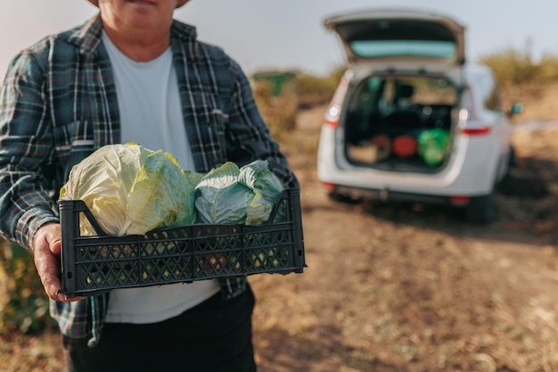 Cerca de la hora de la cosecha un anciano manos en el campo sostiene una caja de verduras auto estacionado