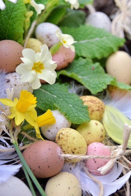 Cerca de huevos de pascua decorativos escondidos en flores de primavera en el jardín