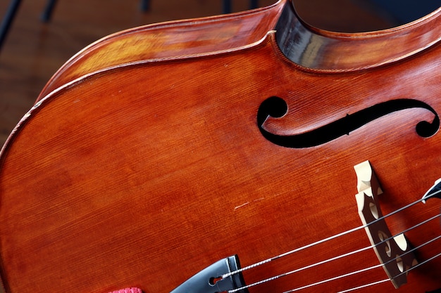 Cerca del instrumento violoncello