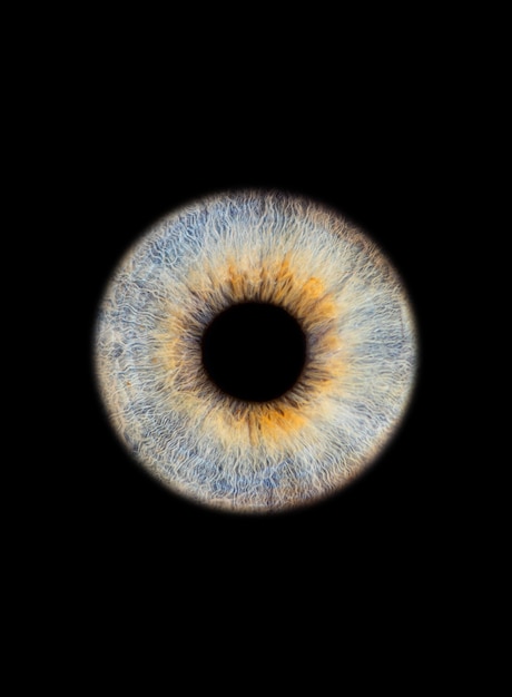 Cerca de un iris de ojo sobre pared negra