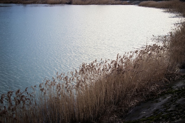 Foto cerca del lago y la espadaña