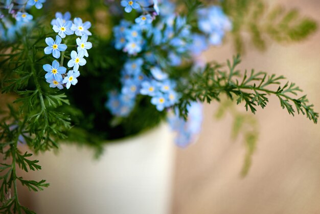 Cerca de lindo ramo de flores azules nomeolvides en superficie borrosa con espacio para texto
