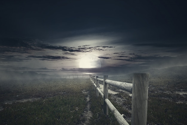 Cerca de madera con niebla en el campo de hierba fantasmagórica en la noche