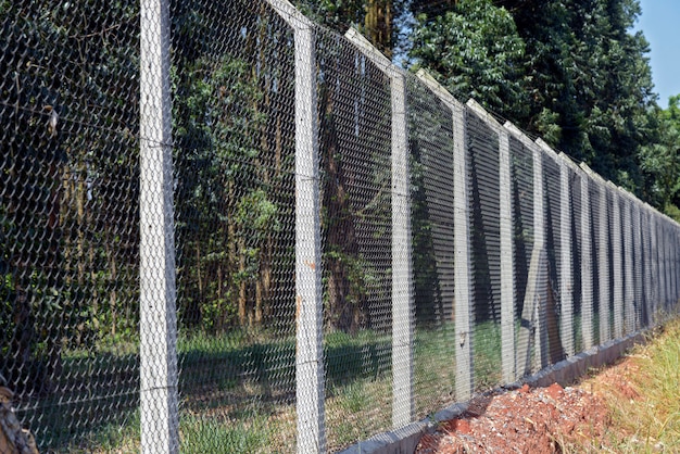 Cerca de malla de alambre con poste de concreto en plantaciones de eucalipto