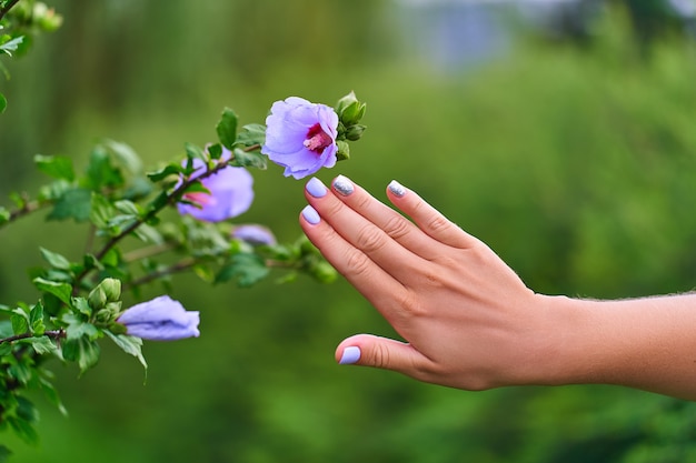 Cerca de manicura femenina junto a una planta de hibisco