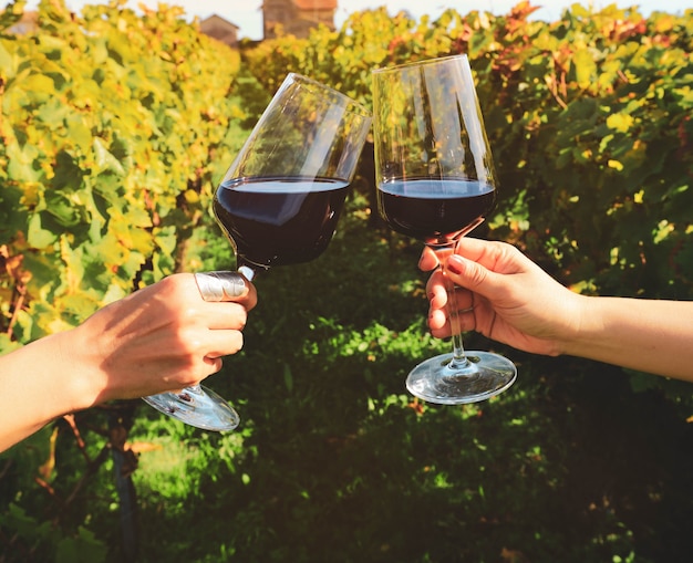 Cerca de las manos brindando copas de vino tinto en el viñedo