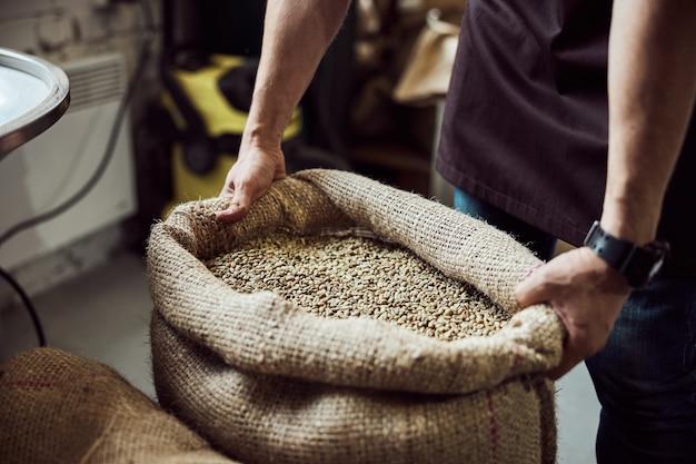 Cerca de las manos del joven sosteniendo un saco de arpillera con granos de café arábica sin tostar