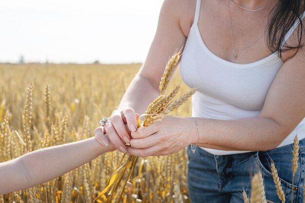 Cerca de las manos de la madre y el niño sosteniendo trigo caminando en el campo