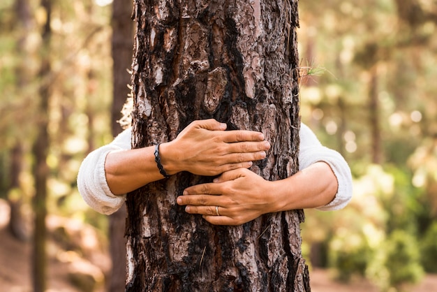 Foto cerca de las manos de la mujer abrazando el tronco de un árbol en el bosque. mujer abrazando el árbol con amor y cuidado. manos de mujer protegiendo el árbol para la conservación del medio ambiente. manos abrazando y protegiendo el árbol.