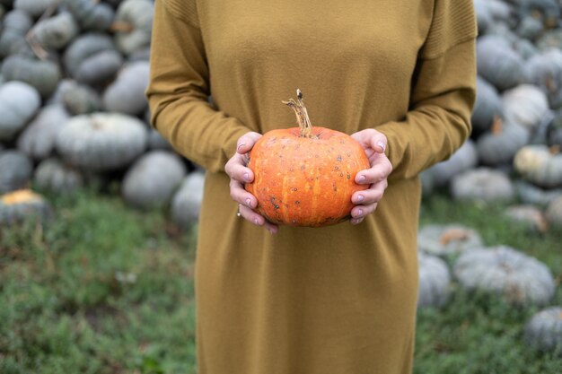 Cerca de las manos de las mujeres con calabaza naranja en la naturaleza concepto de halloween o acción de gracias