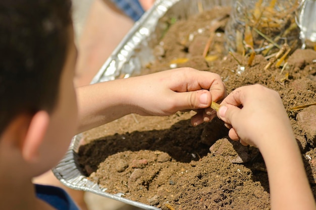 Cerca de las manos de un niño sembrando semillas en un jardín urbano en casa