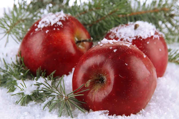 Cerca de manzanas rojas con ramas de abeto en la nieve