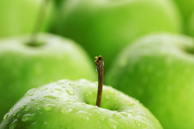 Foto cerca de manzanas verdes maduras