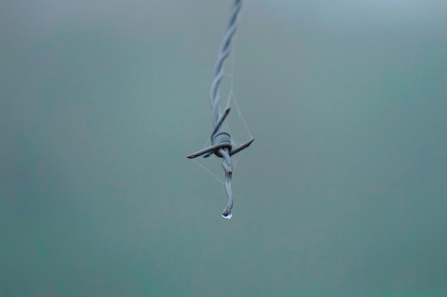 cerca metálica del alambre de púas