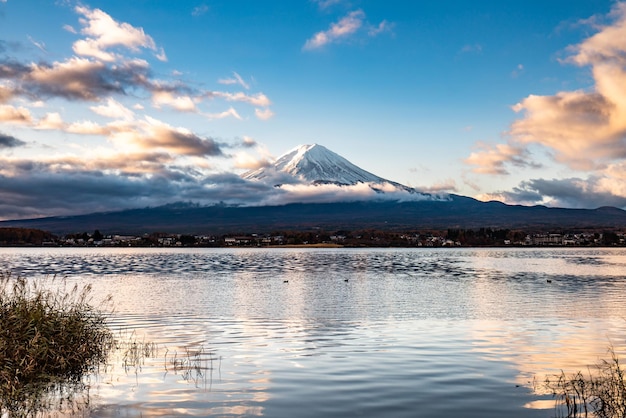 Cerca del monte fuji desde el lado del lago kawaguchi, vista del monte Fuji desde el lago