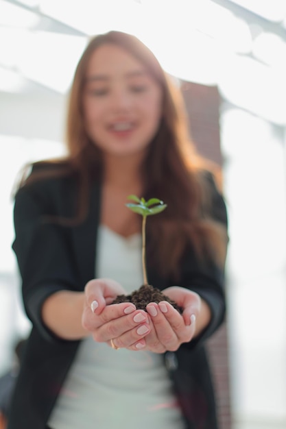 De cerca. mujer de negocios mantiene cuidadosamente un brote fresco. el concepto de negocio ecológico