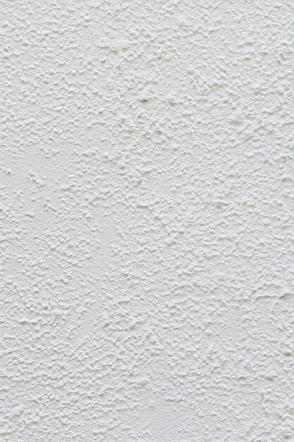 cerca de una pared pintada de blanco con una textura áspera