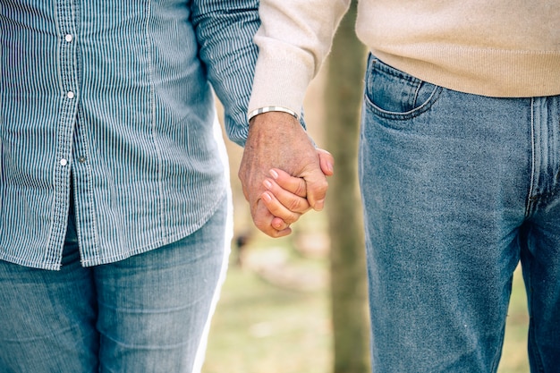 Cerca de la pareja de ancianos cogidos de la mano sobre fondo de naturaleza