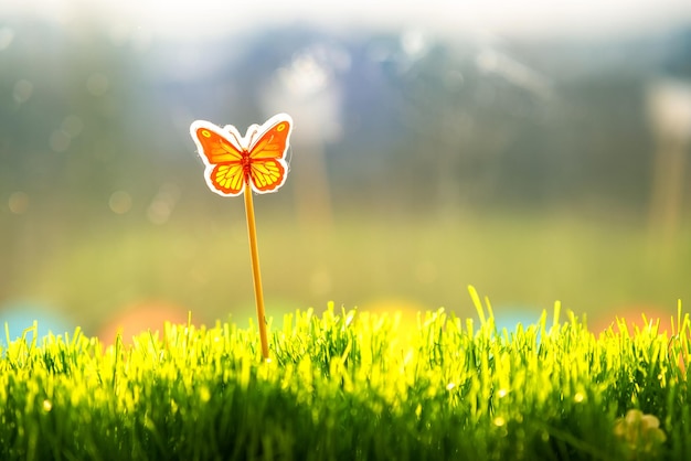 Cerca de la pequeña hierba verde con una pequeña mariposa de juguete lindo especial. Concepto de hermosas plantas con decoración.