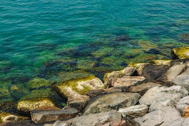 Cerca de piedras y agua clara en la orilla de una playa