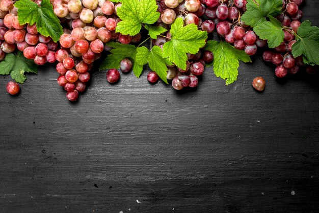 Cerca de la pila de uvas rojas con hojas