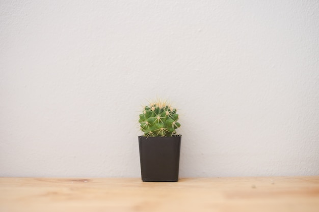 Cerca de la planta de cactus verde en maceta sobre una mesa de madera