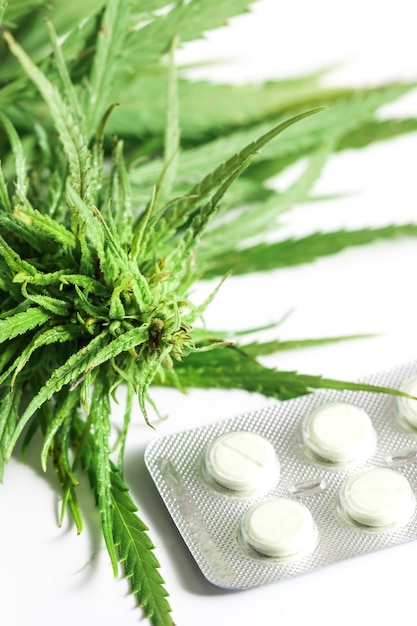 Cerca de la planta de cannabis verde y blister con pastillas