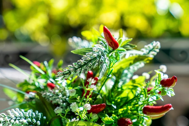 Foto cerca de la planta de chiles rojos con flores y tallo