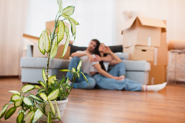 De cerca. Planta hinchada sobre un fondo con la joven pareja feliz en la habitación con cajas móviles en casa nueva