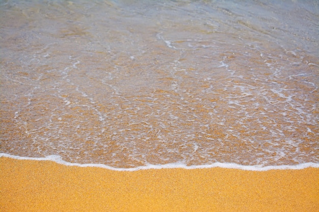 Cerca de una playa amarilla