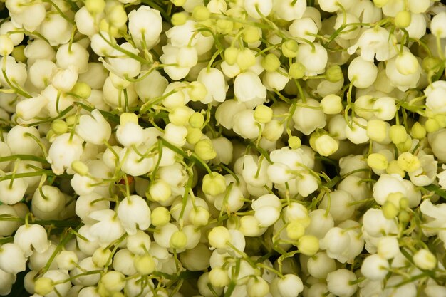 Cerca de primavera fresca ramo de flores de lirio de los valles, un alto ángulo de visualización, directamente encima