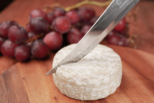 Cerca de queso fresco sobre fondo blanco.