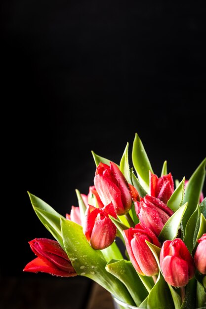 Cerca del ramo de flores de tulipán rojo y hojas verdes