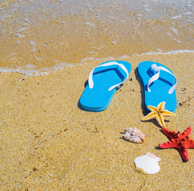 Cerca de sandalias azules con estrellas de mar y conchas en la orilla