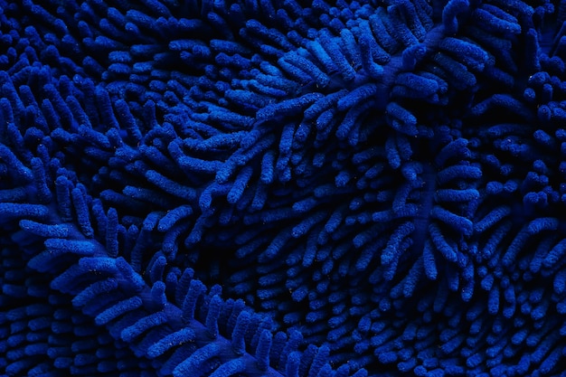 Cerca de tapete azul o alfombra con textura