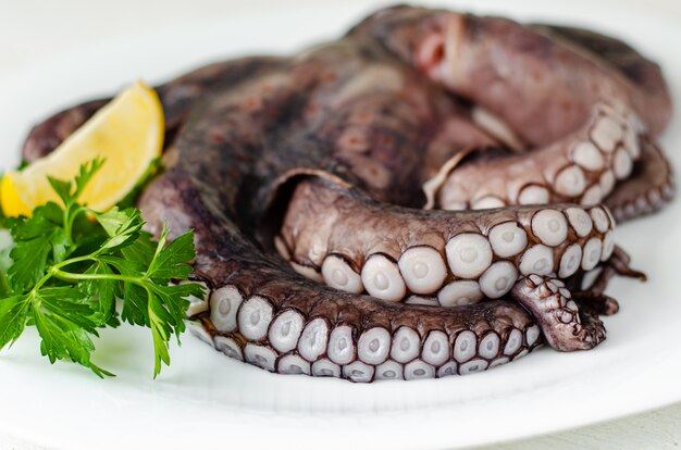 Cerca de tentáculos de pulpo crudo en plato blanco