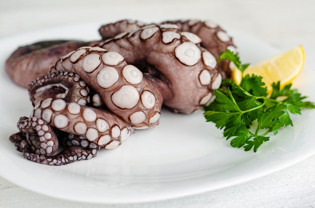 Cerca de tentáculos de pulpo crudo en plato blanco