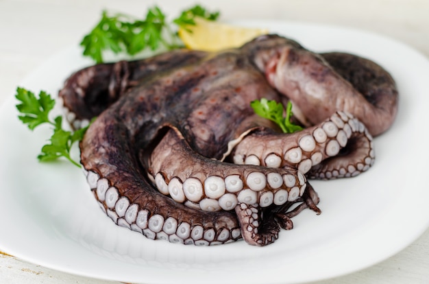 Cerca de tentáculos de pulpo crudo en plato blanco