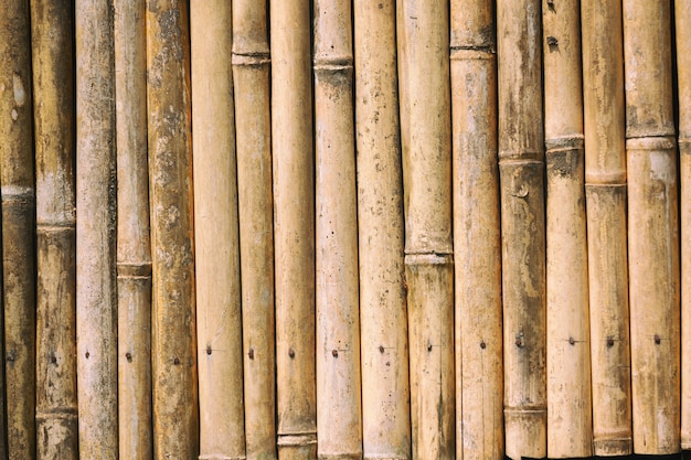 Cerca de la textura de fondo de madera de bambú.