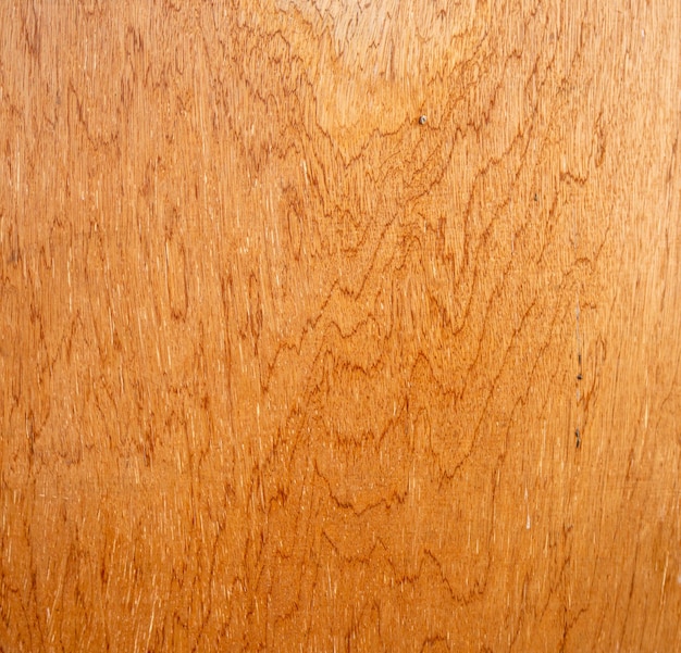 De cerca. Textura de madera, patrón natural. Patrón de fondo de tablón. Vacío.