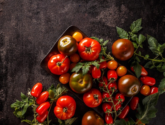 Cerca de tomates maduros